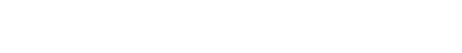 Icon 2 B