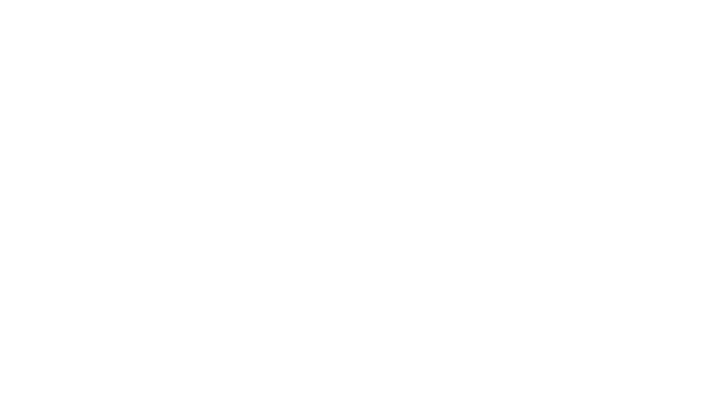 Zeytin Dalı