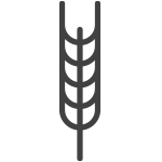 Grains containing gluten and their products